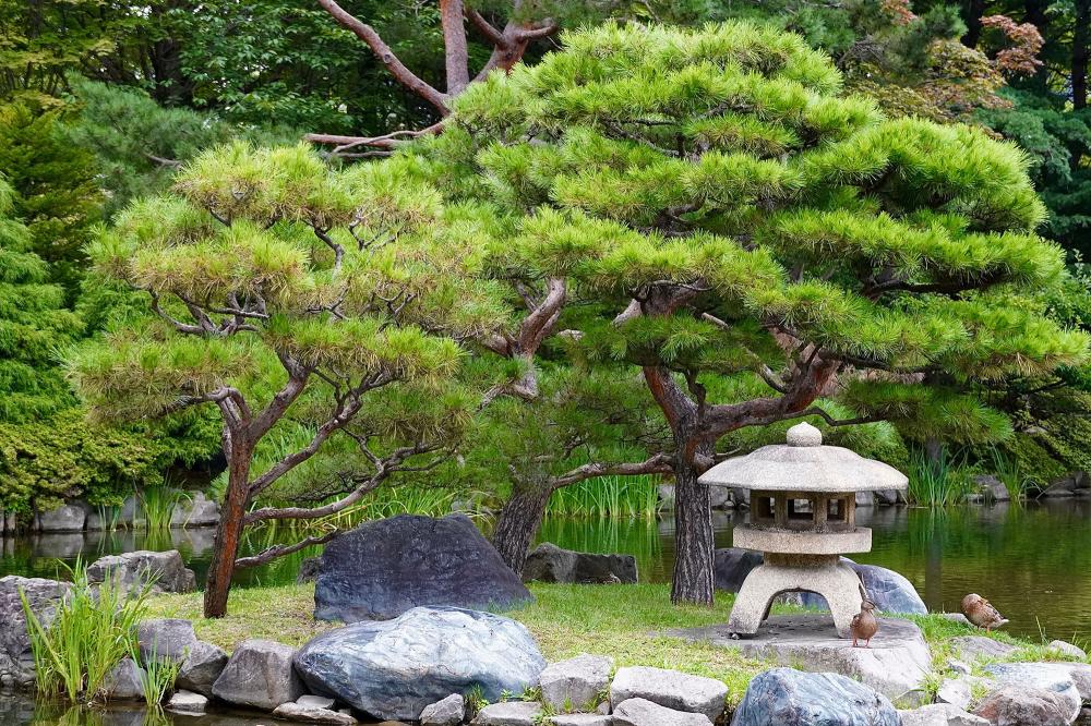 japan garden