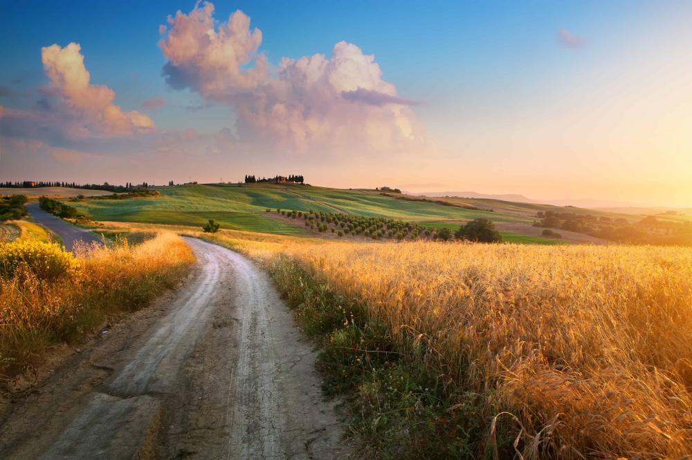 campagne