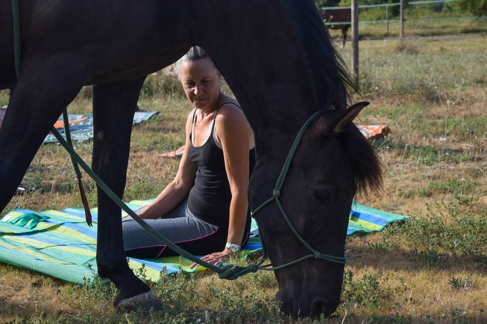 Ateliers chevaux - sens de l'eveil (14)
