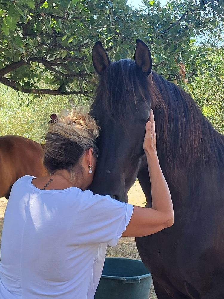 Ateliers chevaux - sens de l'eveil (12)