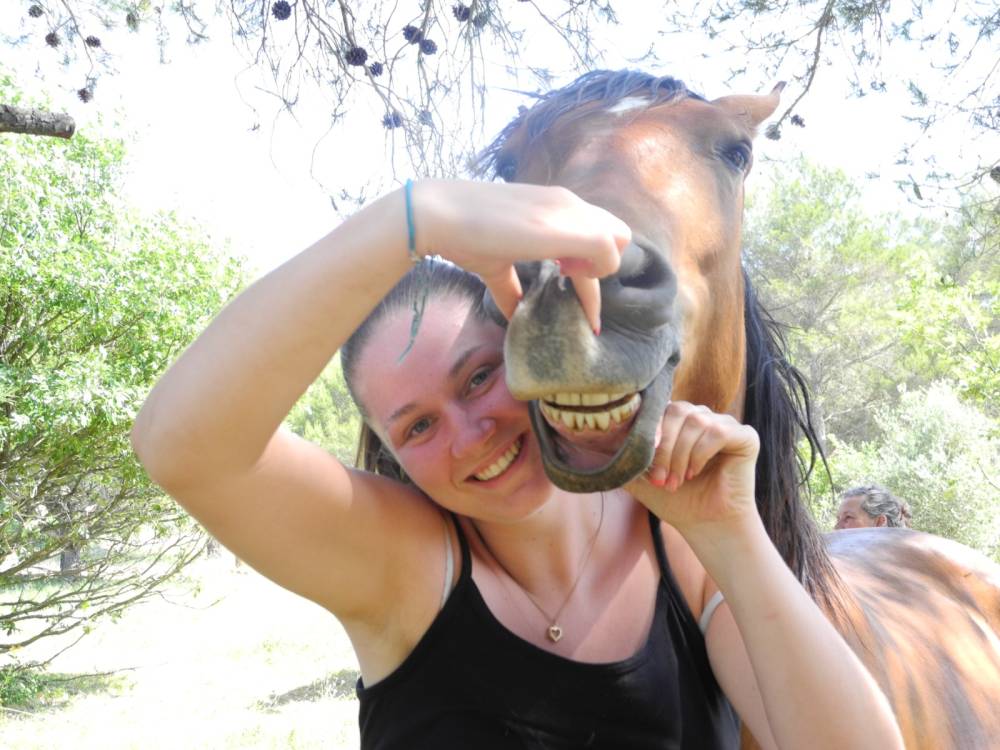 atelier enfant chevaux